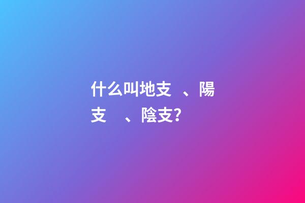 什么叫地支、陽支、陰支？